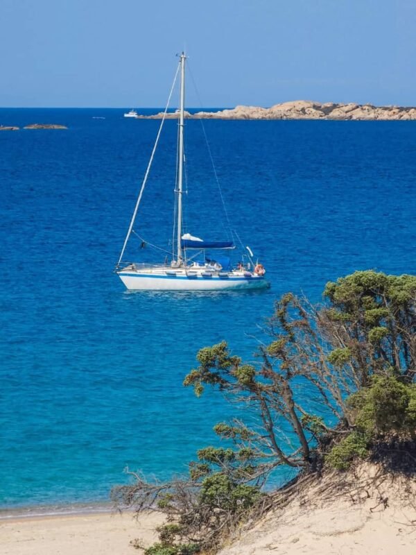 Centurion 36 Horizon View at Sea