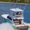 custom carolina sportfish for sale Running Shot