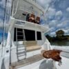viking 50 convertible for sale
