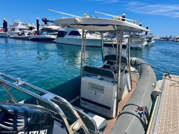 Falcon 650 Rear Lounge and Swim Ladder