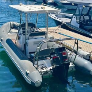 Suzuki 150HP Four-Stroke on Falcon Inflatables 650